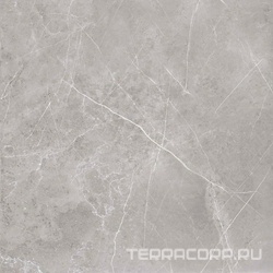 Pulpis grey 60x60