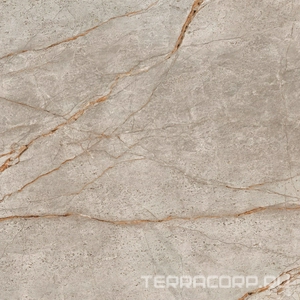 Керамогранит AtlasConcorde Россия EMPIRE Empire Silver Root 80x80 Lapp/ЭМПАИР СИЛЬВЕР РУТ 80x80 ЛАП XX Серый 