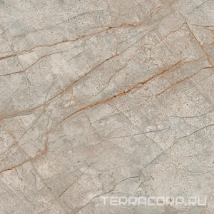 Керамогранит AtlasConcorde Россия EMPIRE Empire Silver Root 80x80 Lapp/ЭМПАИР СИЛЬВЕР РУТ 80x80 ЛАП XX Серый 