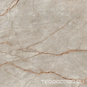 Керамогранит AtlasConcorde Россия EMPIRE Empire Silver Root 80x80 Lapp/ЭМПАИР СИЛЬВЕР РУТ 80x80 ЛАП XX Серый 