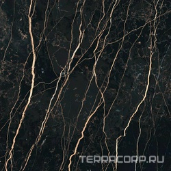 Thunder Night Glossy  XX 160x160