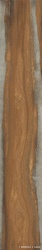 Infinity (Infusion) Nut 24x150