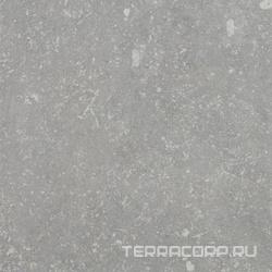 Ardenne Grigio 20x20