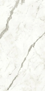 Керамогранит Atlas Concorde Italy Marvel Shine Marvel Statuario Supremo Matt 60x120 Белый 