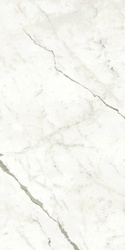 Marvel Statuario Supremo Matt |60x120
