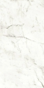 Керамогранит Atlas Concorde Italy Marvel Shine Marvel Statuario Supremo Matt 60x120 Белый 