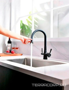 Смеситель для кухни Comfort, c подключением к фильтру, цвет черный ZZ Lemark comfort LM3075BL