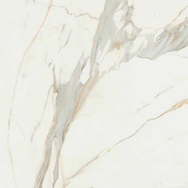 Calacata Gold  Compacglass 120x120 Rec.