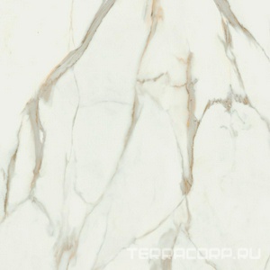 Керамогранит Pamesa Calacata Gold   Compacglass 120x120 Rec. Белый 