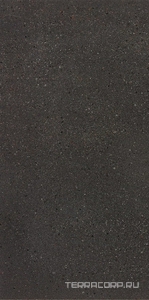 Керамогранит Leonardo Overcome OVRC 12DG RM  (п.п.) 60x120 Серый 