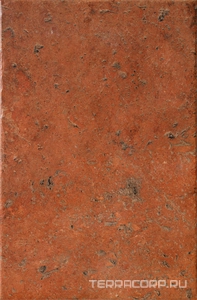 Керамогранит CIR Cotto Del Campiano  Rosso Siena 40x60.8 Бежевый 