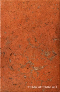 Керамогранит CIR Cotto Del Campiano  Rosso Siena 40x60.8 Бежевый 