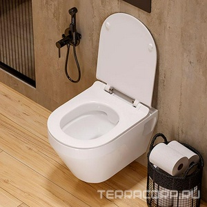 Унитаз подвесной безободковый Novel Rimless Slim, тонкая крышка-сиденье с микролифтом в компл Sanita Luxe Novel Slim WC.WH/Novel/SlimDM.Rim/WHT.G/S1