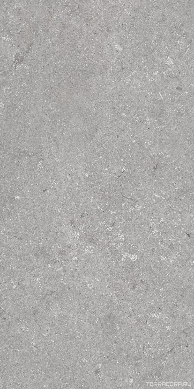 Керамогранит Dado Ceramica Shellstone Grigio 60x120 Серый, фото 5