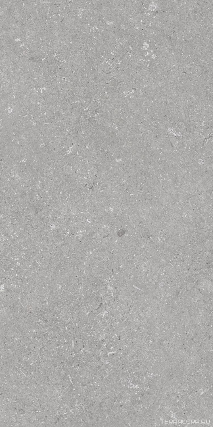 Керамогранит Dado Ceramica Shellstone Grigio 60x120 Серый, фото 6