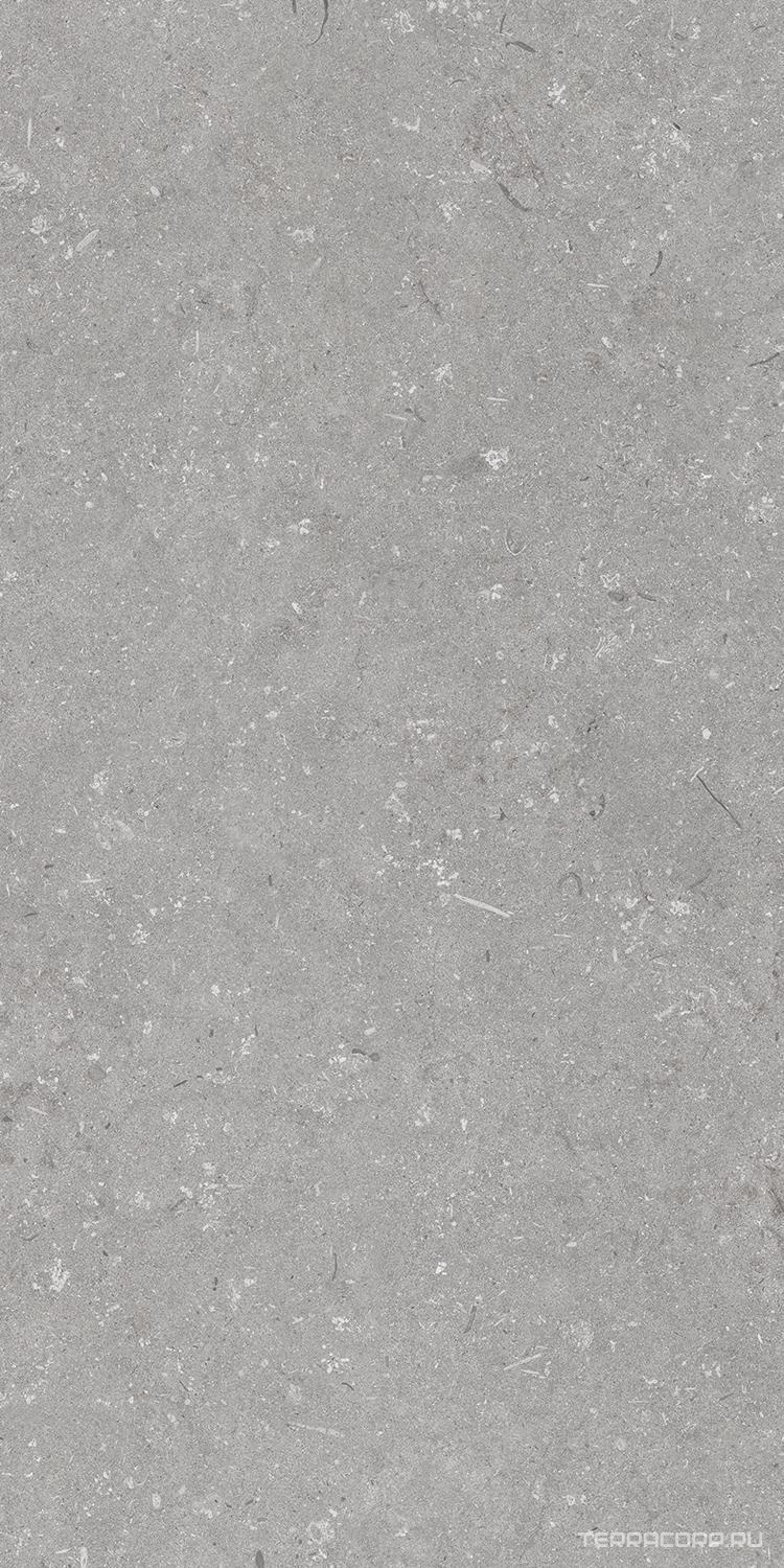 Керамогранит Dado Ceramica Shellstone Grigio 60x120 Серый, фото 4