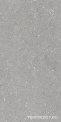 Shellstone Grigio 60x120