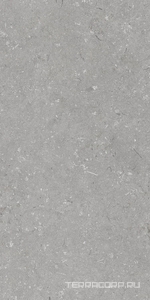 Керамогранит Dado Ceramica Shellstone  Grigio 60x120 Серый 