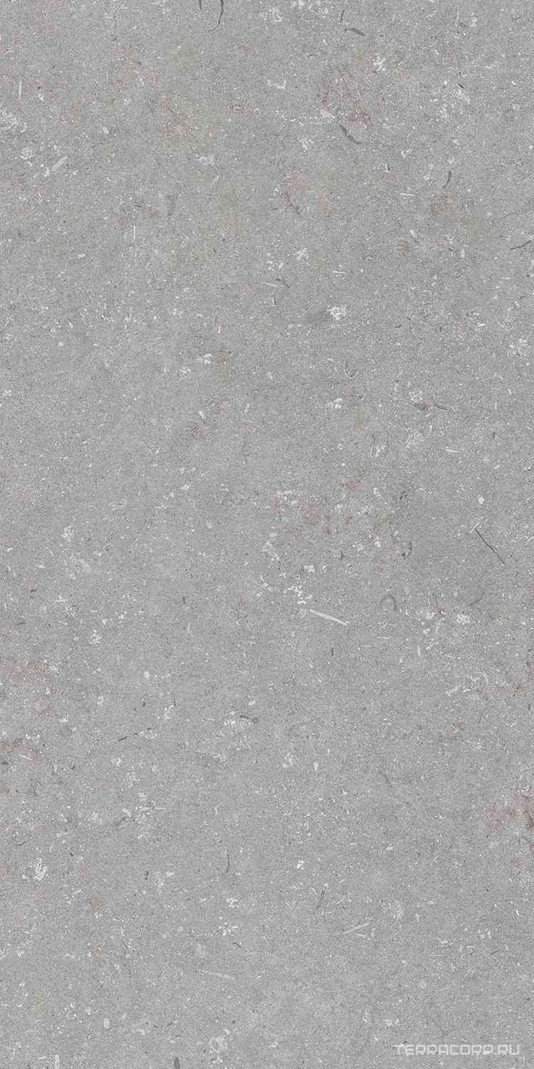 Shellstone Grigio 60x120