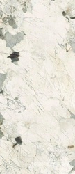 Pat Wh6 278 LP  120x278