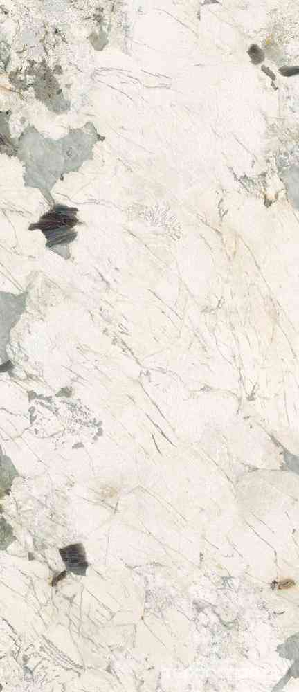Pat Wh6 278 LP  120x278