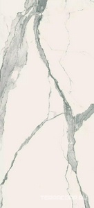 Керамогранит Florim Magnum I Classici di Rex Statuario Glossy  120x280 Серый 