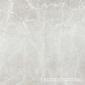 Керамогранит Гранитея Увильды Uvildy Grey G363/ серый мат.60x60 Серый 