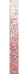 Sfumatura Oleandro 2x2  ZZ |32.2x258.8