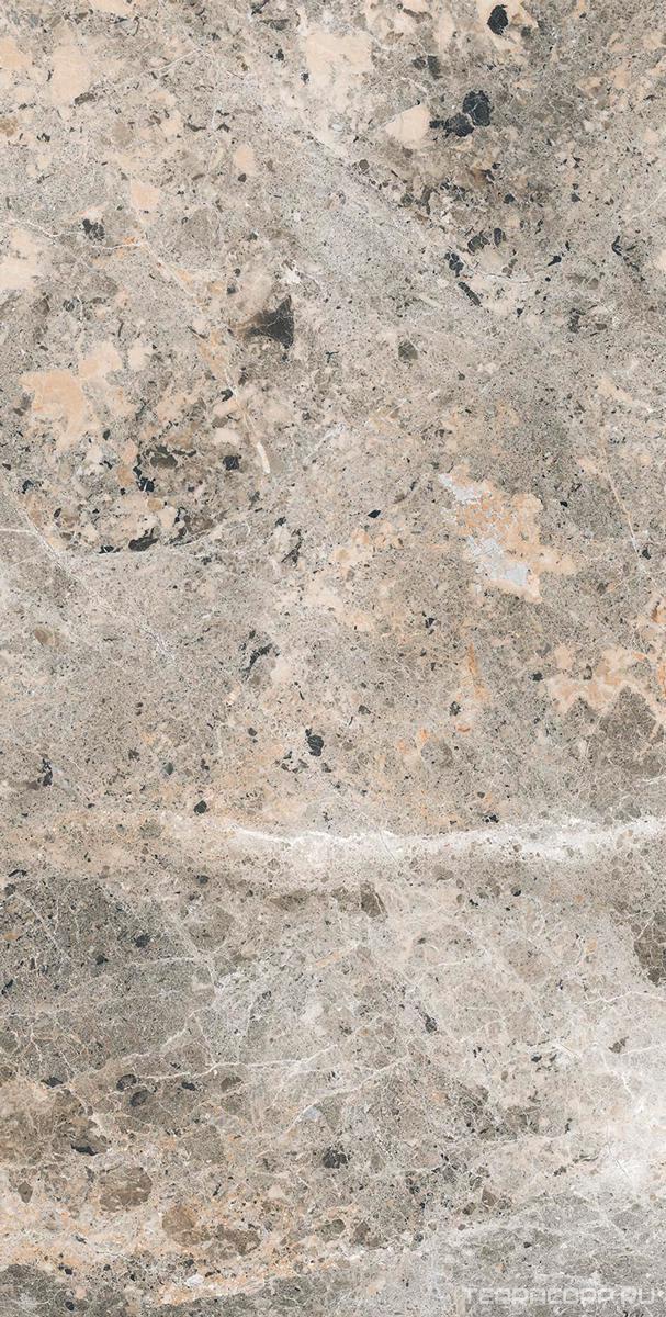 Керамогранит Alpas Euro Premium Marble Alaska Grey Pol. 60x120 Серый, фото 7