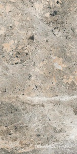 Керамогранит Alpas Euro Premium Marble Alaska Grey Pol. 60x120 Серый 
