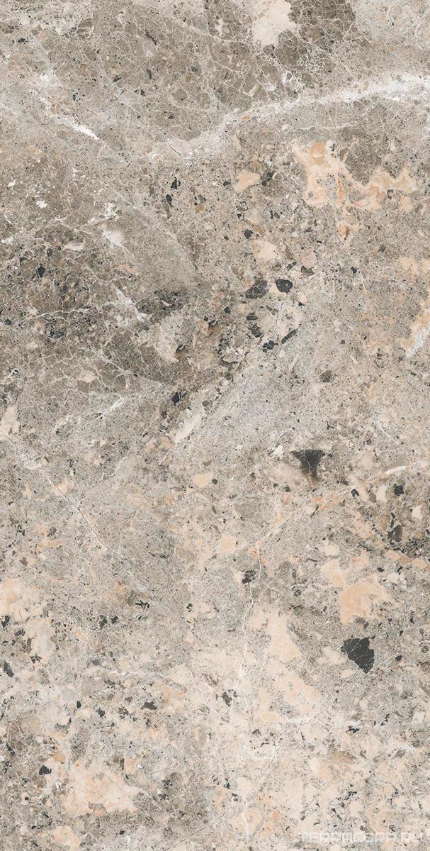Керамогранит Alpas Euro Premium Marble Alaska Grey Pol. 60x120 Серый, фото 3