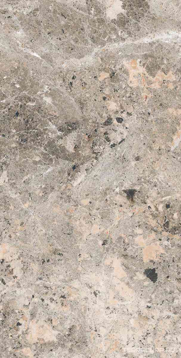 Alaska Grey Pol. 60x120
