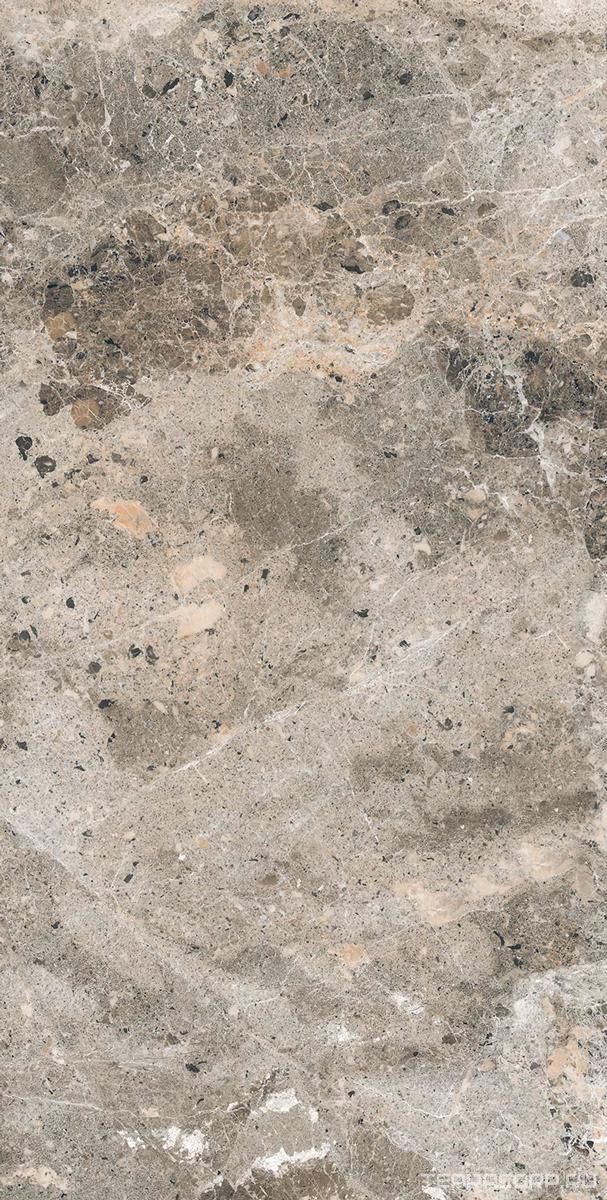 Керамогранит Alpas Euro Premium Marble Alaska Grey Pol. 60x120 Серый, фото 4