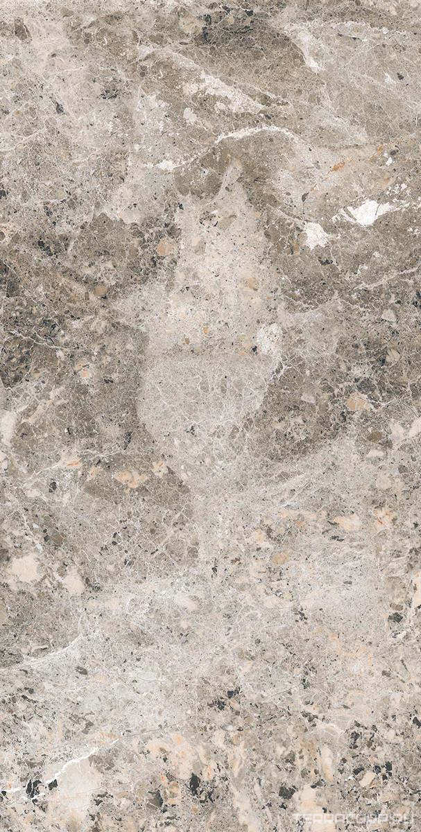 Керамогранит Alpas Euro Premium Marble Alaska Grey Pol. 60x120 Серый, фото 5