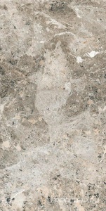 Керамогранит Alpas Euro Premium Marble Alaska Grey Pol. 60x120 Серый 