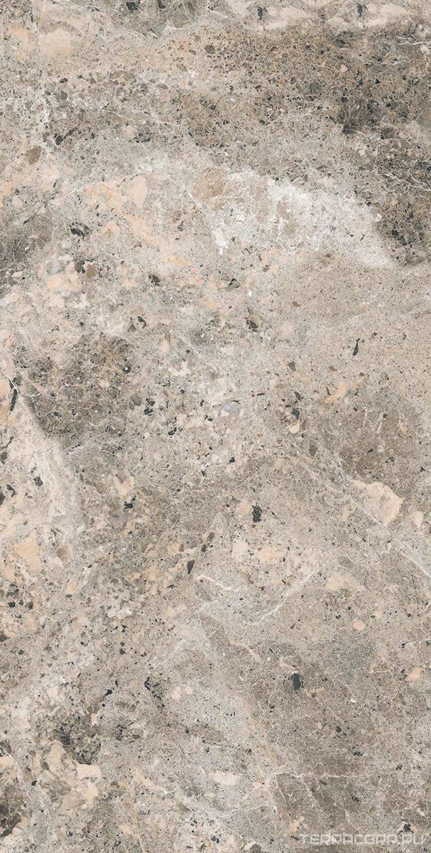 Керамогранит Alpas Euro Premium Marble Alaska Grey Pol. 60x120 Серый, фото 6
