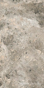 Керамогранит Alpas Euro Premium Marble Alaska Grey Pol. 60x120 Серый 