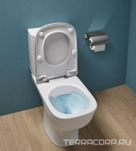 Унитаз безободковый напол ьный, в комплекте с тонким сиденьем, креплениями Jacob Delafon Elite E20997-00