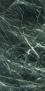 Керамогранит Emil Ceramica Tele Di Marmo Revolution Verde saint denis Lap ZZ60x120 Комбинированный 