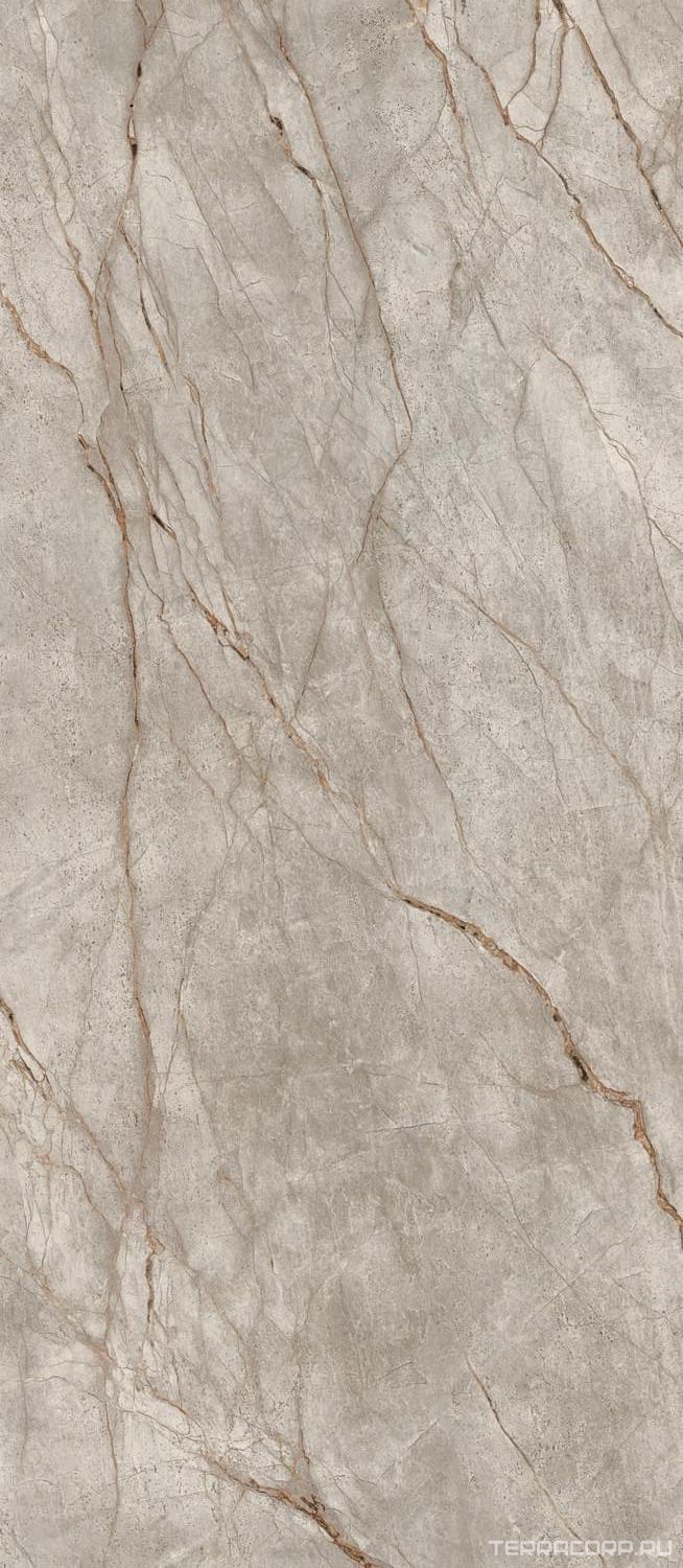 Керамогранит AtlasConcorde Россия EMPIRE Empire Silver Root 120x278 Lapp/ЭМПАИР СИЛЬВЕР РУТ 120x278 ЛАП Серый, фото 3