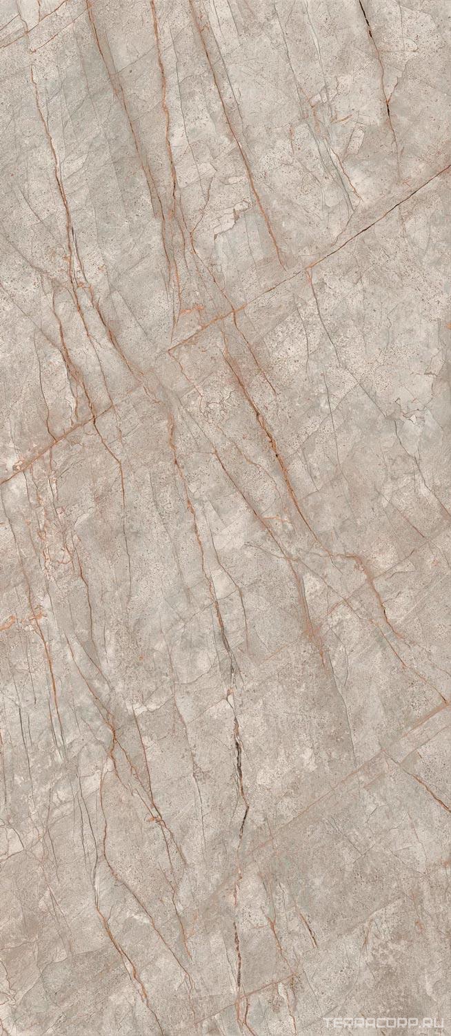 Керамогранит AtlasConcorde Россия EMPIRE Empire Silver Root 120x278 Lapp/ЭМПАИР СИЛЬВЕР РУТ 120x278 ЛАП Серый, фото 5