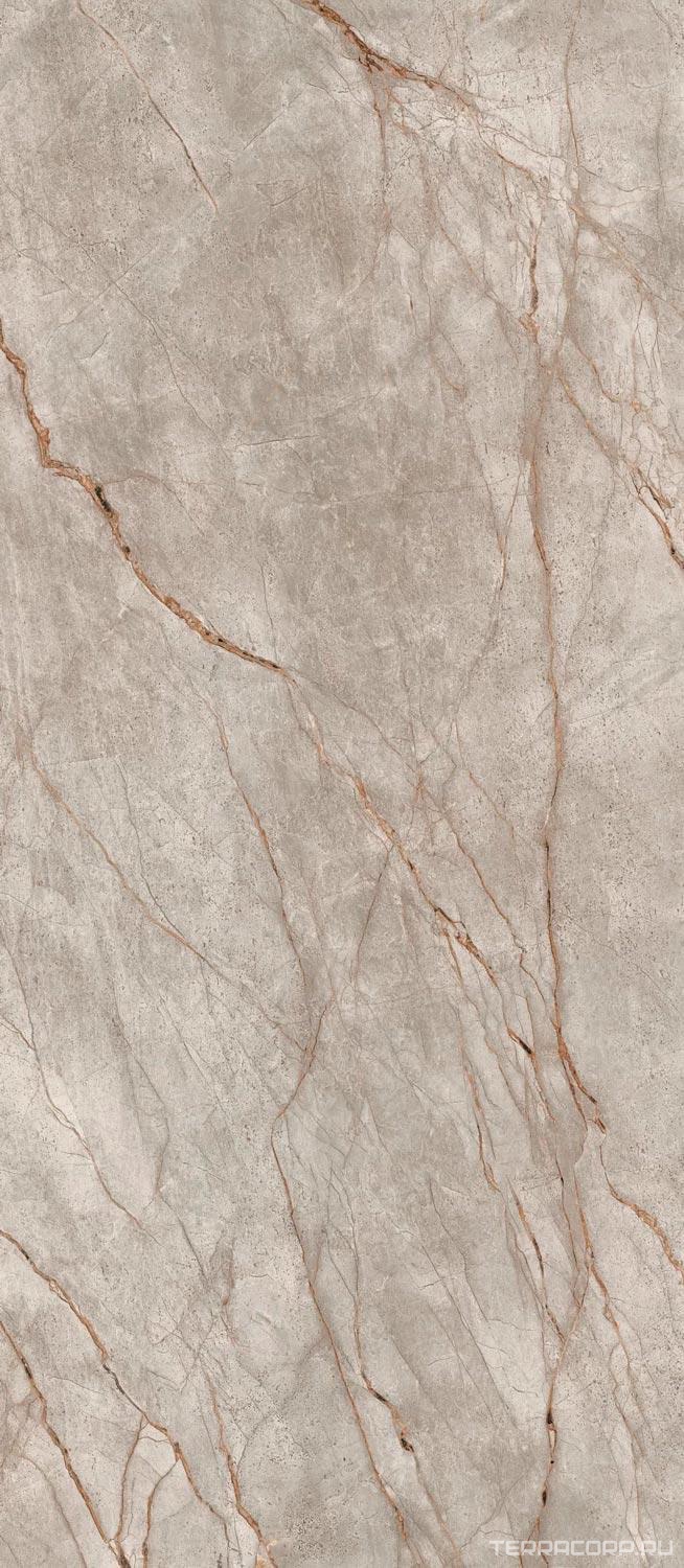 Керамогранит AtlasConcorde Россия EMPIRE Empire Silver Root 120x278 Lapp/ЭМПАИР СИЛЬВЕР РУТ 120x278 ЛАП Серый, фото 4