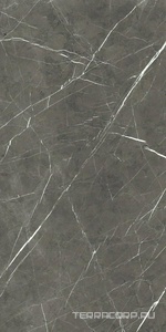 Керамогранит Florim Prexious of Rex Charming Amber Glossy 60x120 Серый 