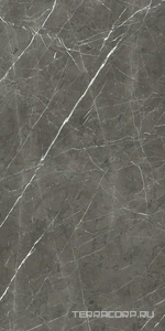 Керамогранит Florim Prexious of Rex Charming Amber Glossy 60x120 Серый 