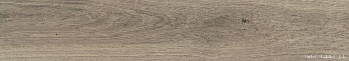 Copenhague Antico lev rect. XX |20x114