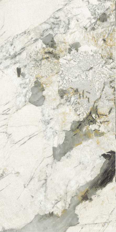 Pat Wh6 12RM |60x120