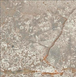Empire Silver Root Bottone Lap/ЭМПАИР СИЛЬВЕР РУТ ВСТАВКА ЛАП 7,2x7,2