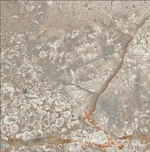 Керамогранит AtlasConcorde Россия EMPIRE Empire Silver Root Bottone Lap/ЭМПАИР СИЛЬВЕР РУТ ВСТАВКА ЛАП 7,2x7,2 Серый 