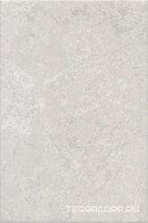 Ферони серый светлый матовый 20x30
