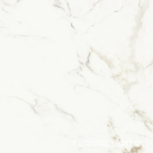 Керамогранит La Faenza Aesthetica AE CAP6 120 RM ( п.п.)120x120 Белый 